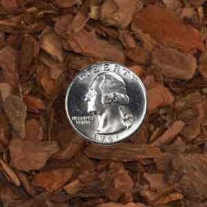 Elixson's small mini nuggets