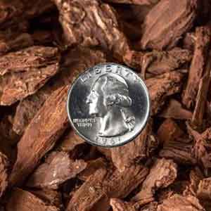 Elixson's mini nuggets